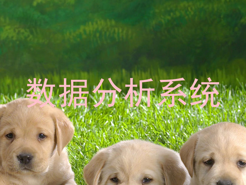 数据分析系统