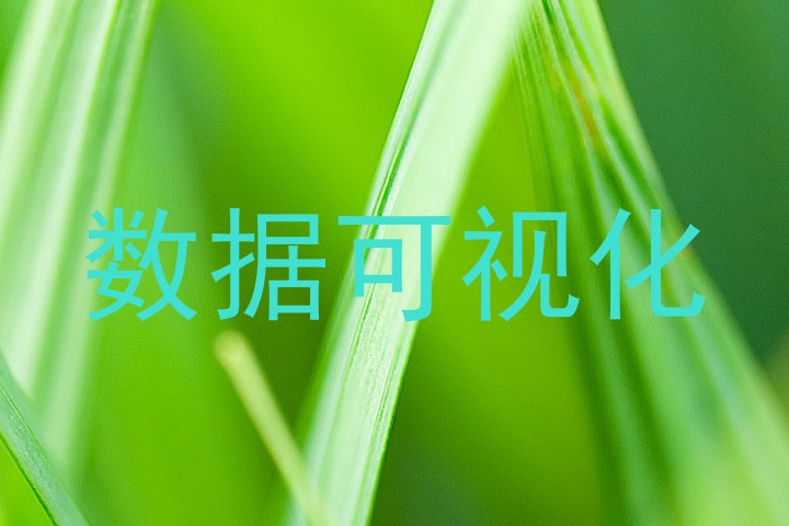 数据可视化