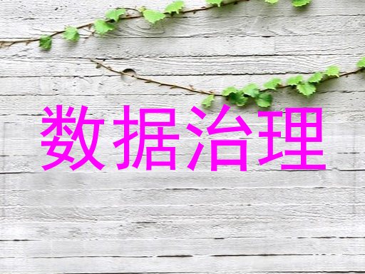 数据治理