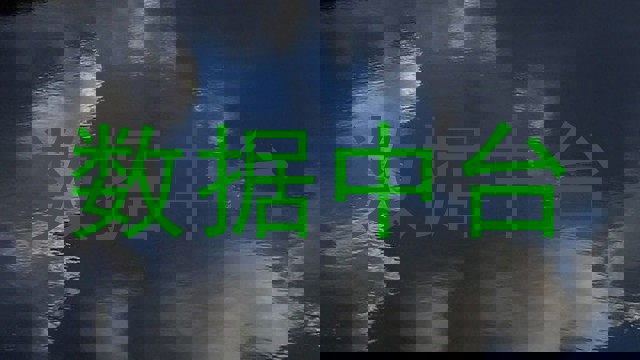 数据中台