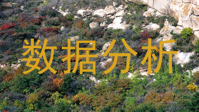 数据分析