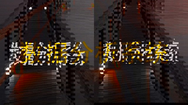 数据分析系统