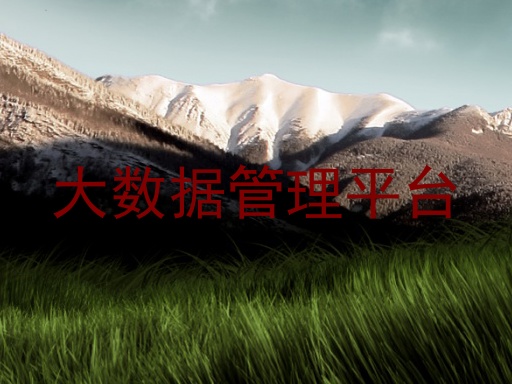 大数据管理平台