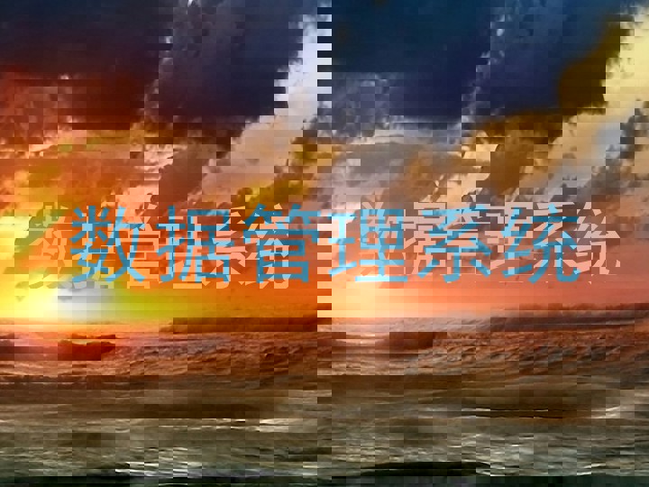 数据管理系统