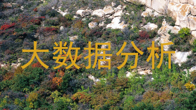 大数据分析