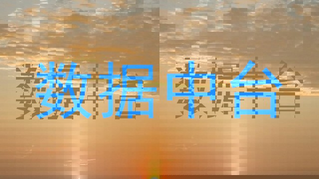 数据中台