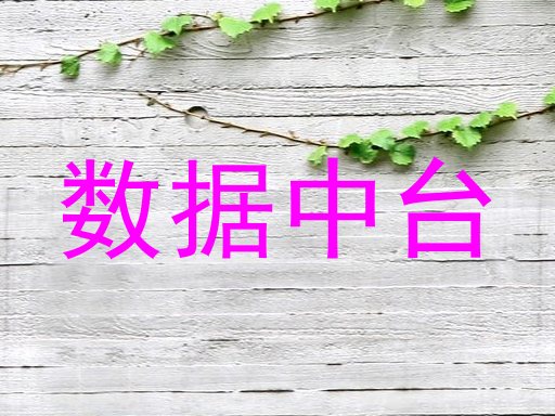 数据中台