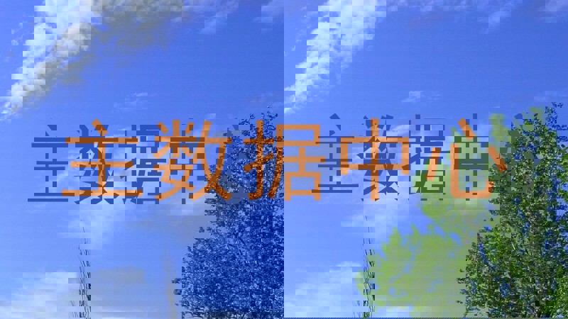 主数据中心