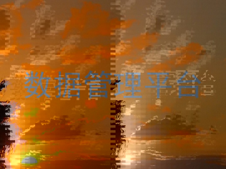数据管理平台