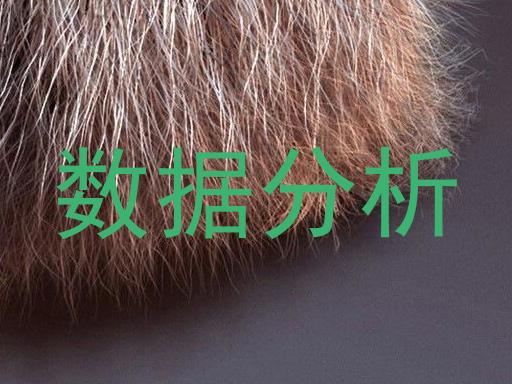 数据分析
