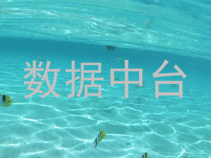 数据中台