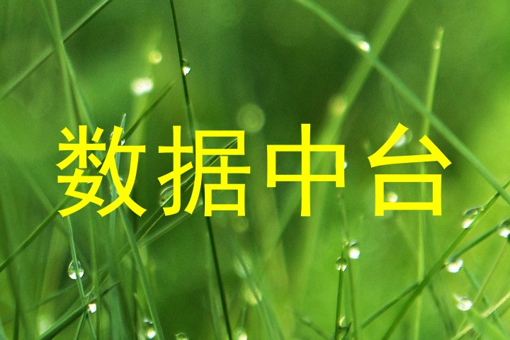 数据中台