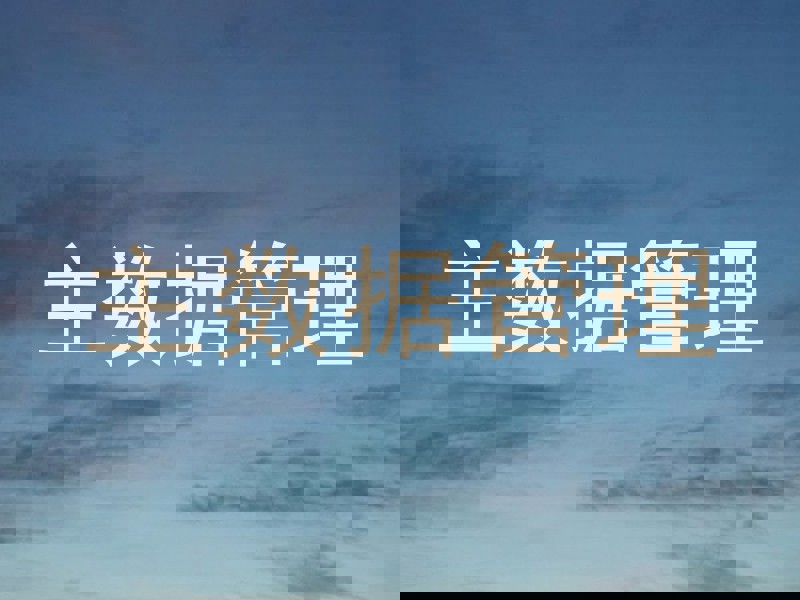 主数据管理