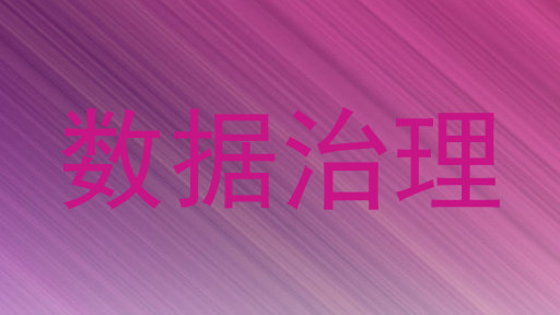 数据治理