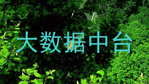大数据中台