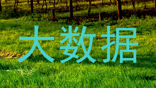 大数据