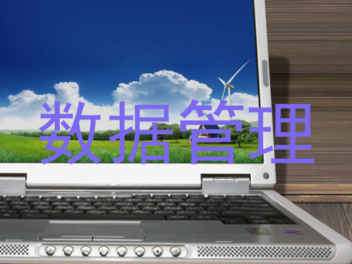 数据管理
