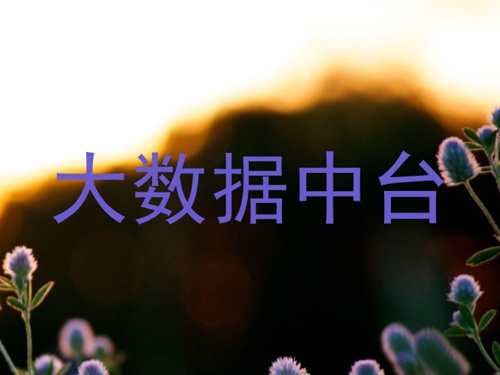 大数据中台