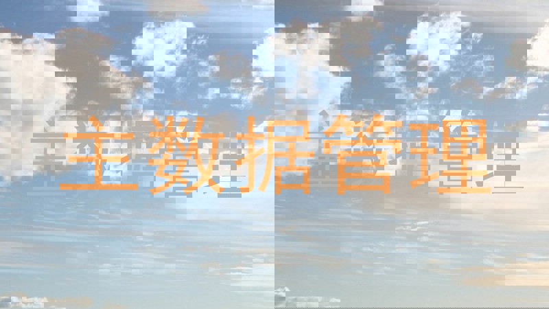 主数据管理