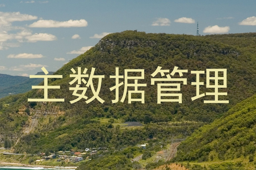 主数据管理