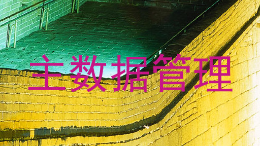 主数据管理