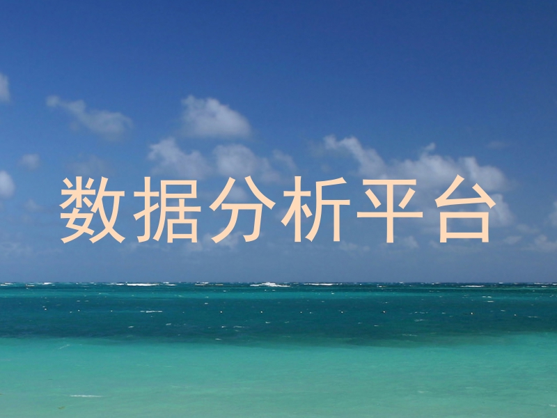 数据分析平台