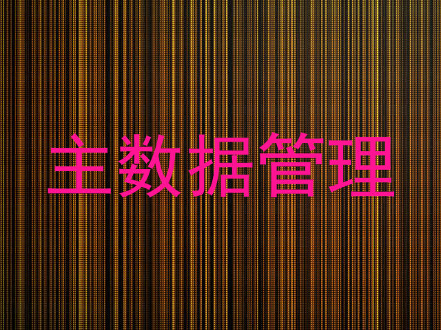 主数据管理
