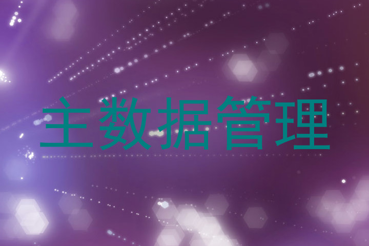 主数据管理