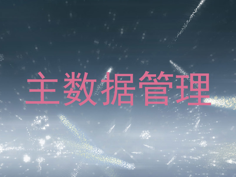 主数据管理