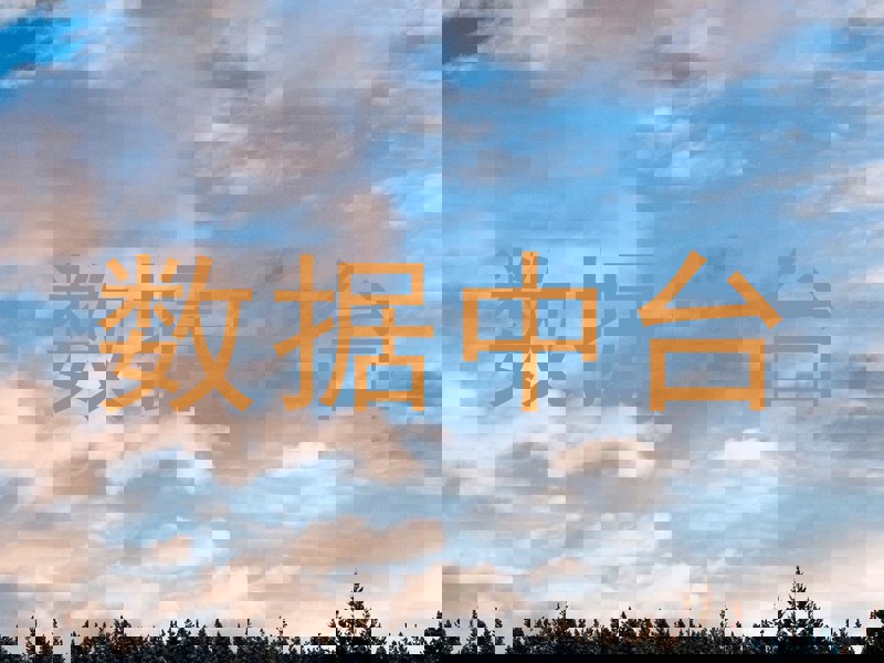 数据中台