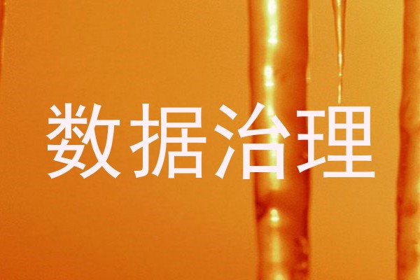 数据治理