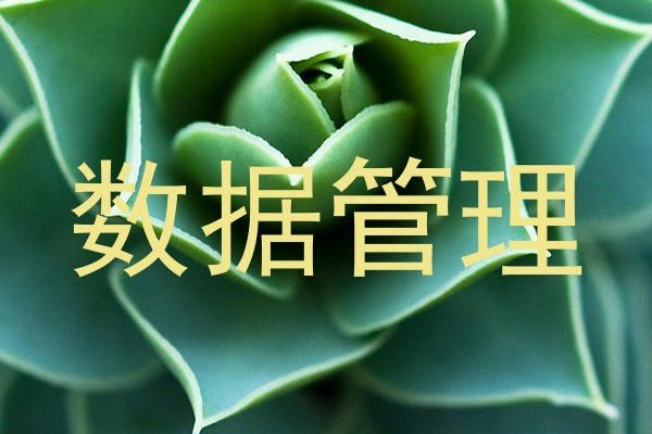 数据管理
