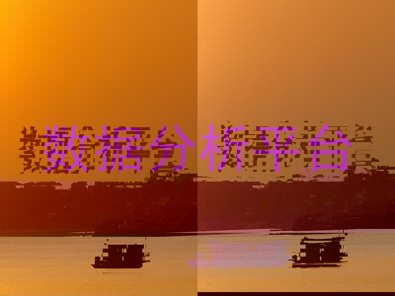 数据分析平台