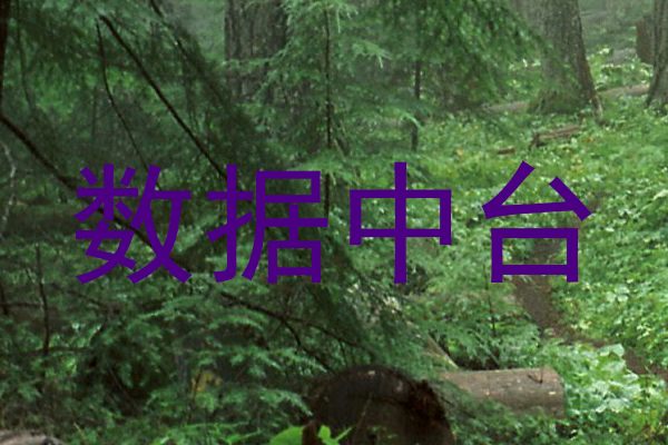 数据中台