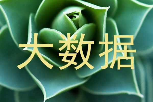 大数据