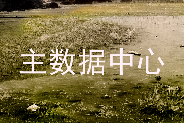 主数据中心