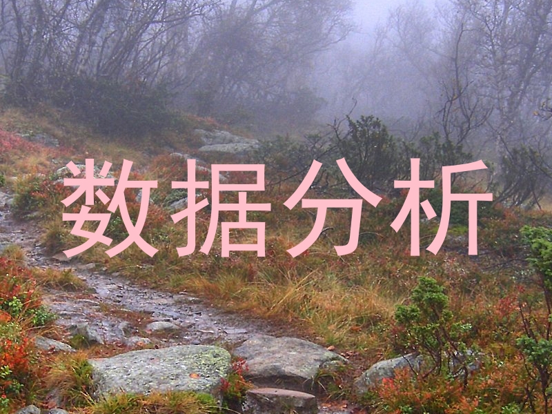数据分析