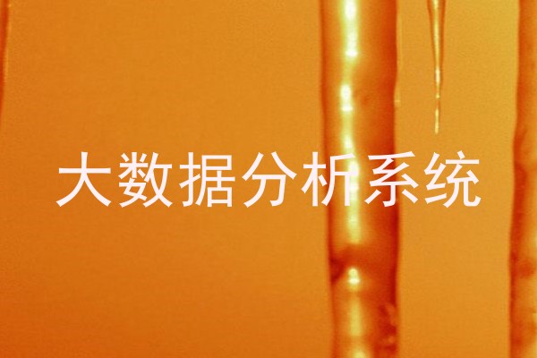 大数据分析系统