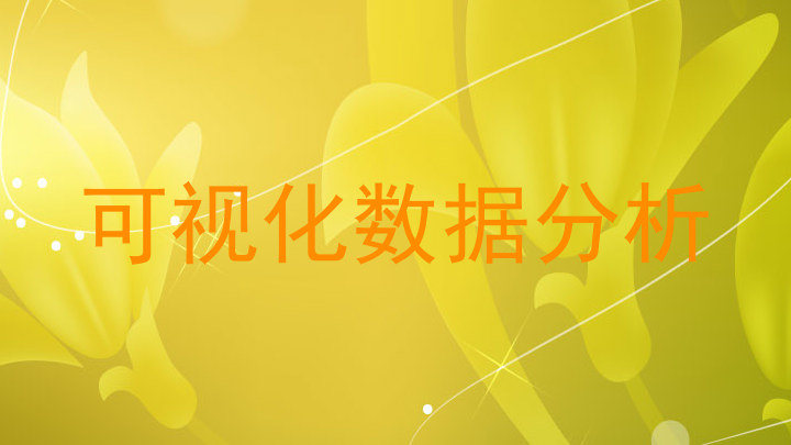 可视化数据分析