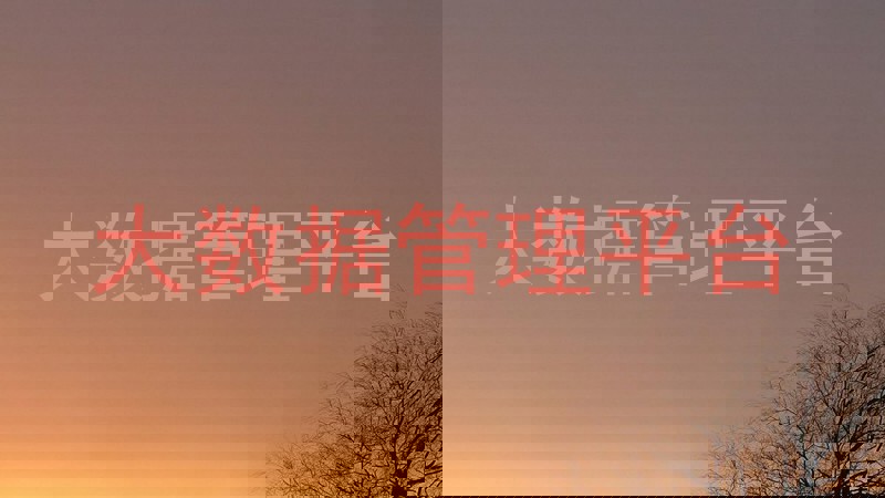 大数据管理平台