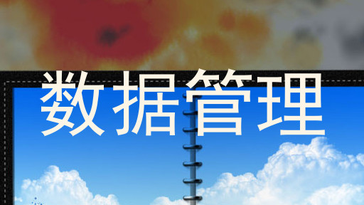 数据管理