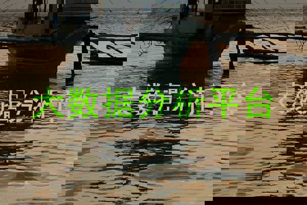 大数据分析平台