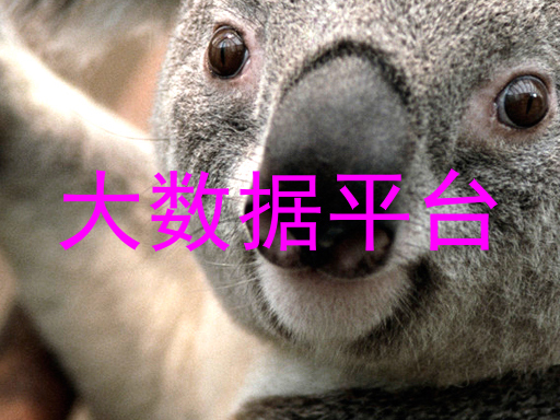 大数据平台
