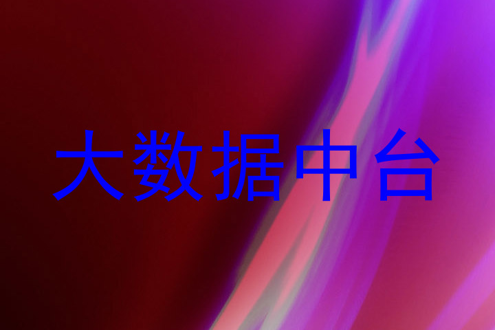 大数据中台