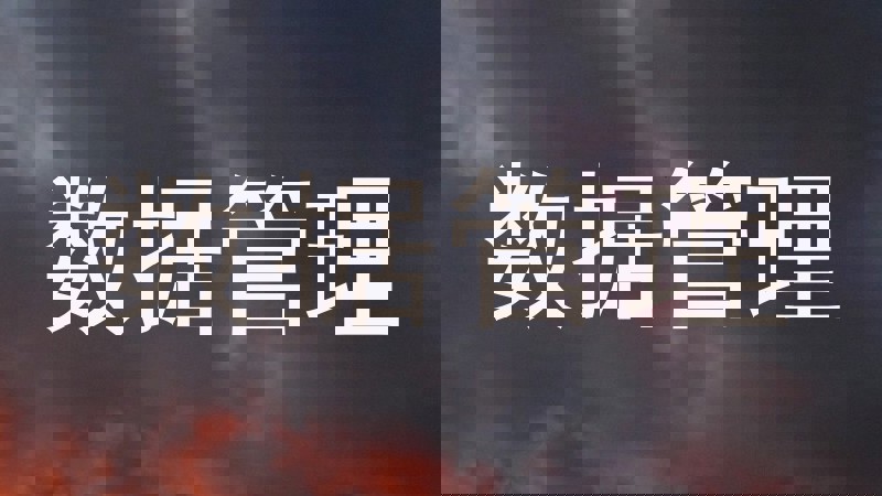 数据管理