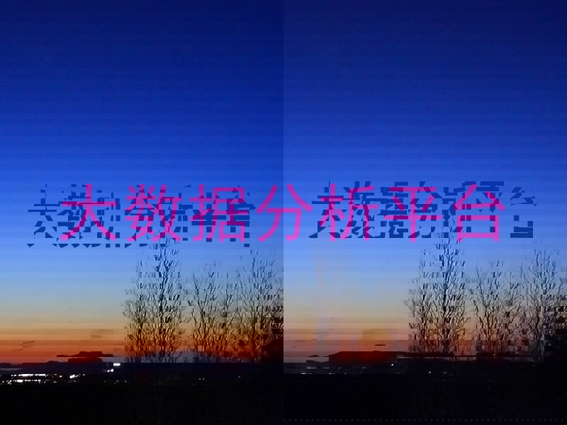 大数据分析平台