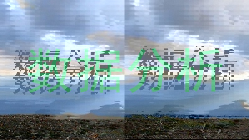 数据分析