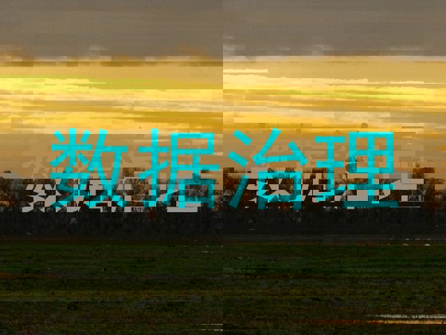 数据治理