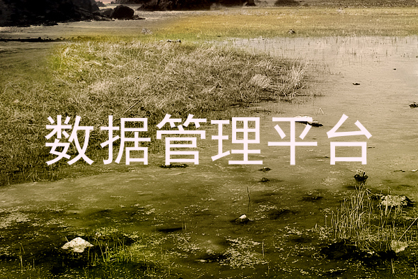 数据管理平台
