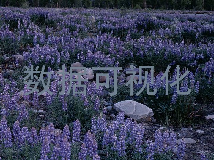 数据可视化